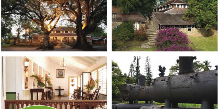 L’habitation Clément, l’art à fleur de canne