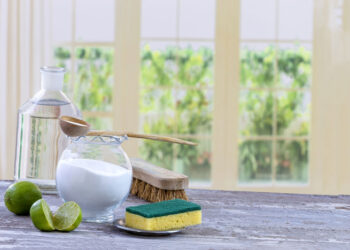 L’entretien ménager écologique