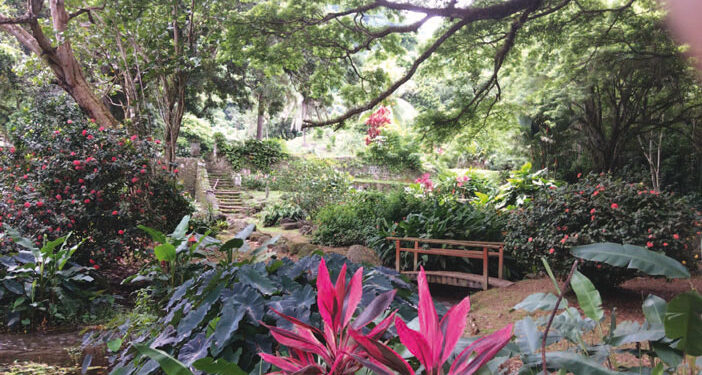 La Martinique durable