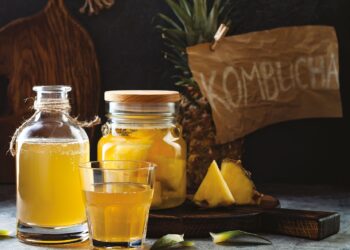 Le kombucha