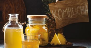 Le kombucha