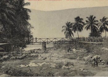 Les ponts de la Martinique