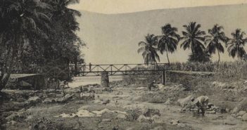 Les ponts de la Martinique
