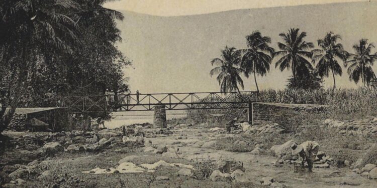 Les ponts de la Martinique