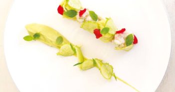 CRABE DE TERRE AVOCAT ET ZÈB A FÈ