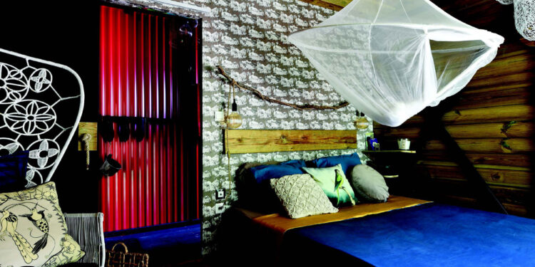 THE BIRD HOUSE, UNE DÉCOUVERTE INSOUPÇONNÉE