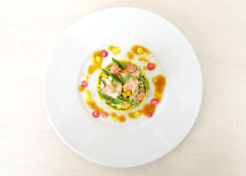 {RECETTE} SALADE DE COFFRE AVOCAT & MANGUE par Thibault Barbafieri