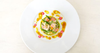 {RECETTE} SALADE DE COFFRE AVOCAT & MANGUE par Thibault Barbafieri