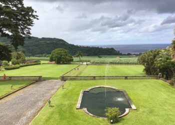 DEPAZ, LA VIE DE CHÂTEAU