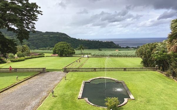 DEPAZ, LA VIE DE CHÂTEAU