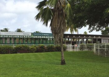 {Kaléidoscope Créole} LES ENCEINTES SPORTIVES DE LA MARTINIQUE