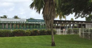 {Kaléidoscope Créole} LES ENCEINTES SPORTIVES DE LA MARTINIQUE