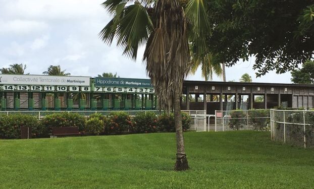 {Kaléidoscope Créole} LES ENCEINTES SPORTIVES DE LA MARTINIQUE