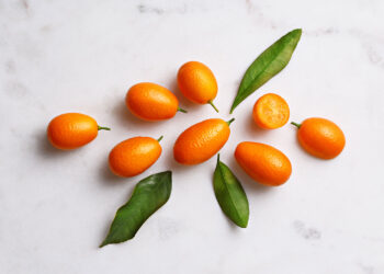 {Saveurs} Le Kumquat
