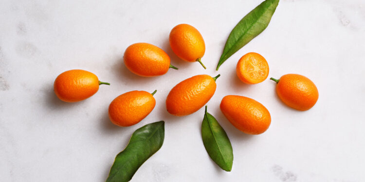 {Saveurs} Le Kumquat