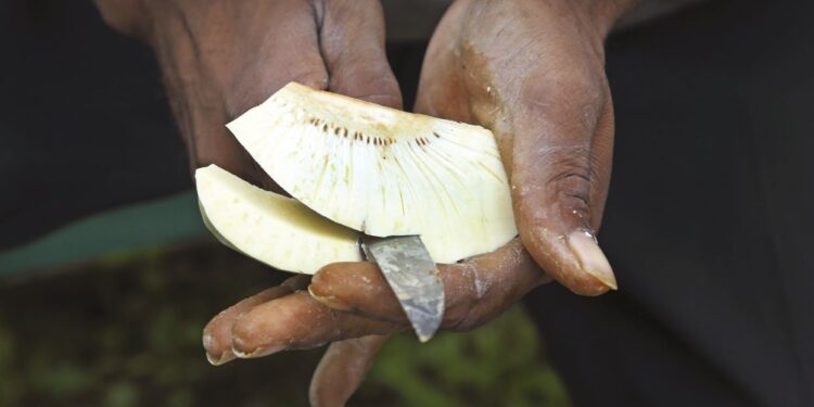 CUISINER SANS GLUTEN AVEC LES FARINES LOCALES