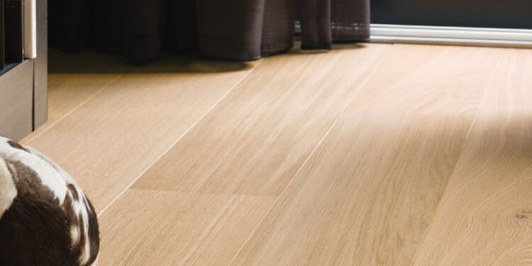 VINYLE ET PVC RÉVOLUTIONNENT LES SOLS