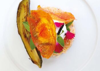 CRABE AUX LEGUMES DU SOLEIL, NUAGE COCO