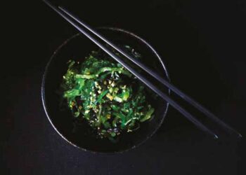 LES ALGUES : bienfaits incroyables de ces légumes de la mer