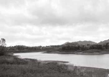 L’or bleu de la MANZO