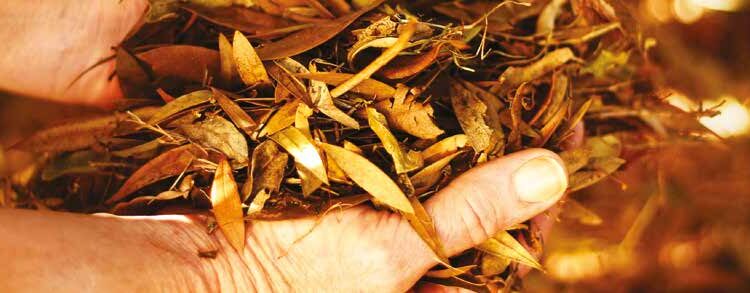 LA VALORISATION ÉNERGÉTIQUE DE L’HABITAT