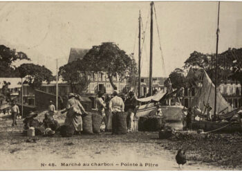 LES DEUX MÉTIERS DU MAÎTRE-CHARBON