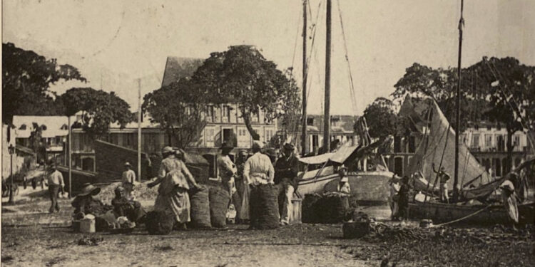 LES DEUX MÉTIERS DU MAÎTRE-CHARBON