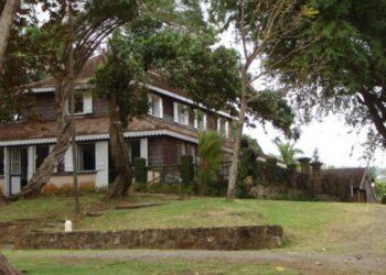 {INTÉRIEUR CRÉOLE} De la cave au grenier