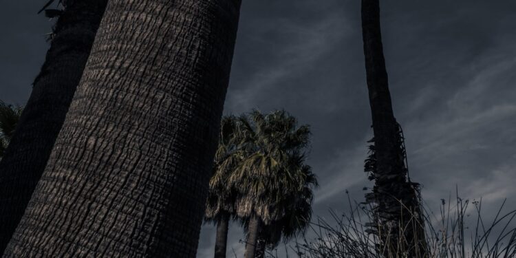 Saison cyclonique : se préparer