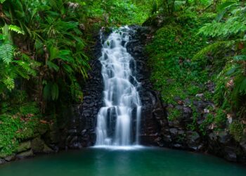 Évadez-vous en … Guadeloupe !