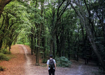 Je donne du sens à ma vie