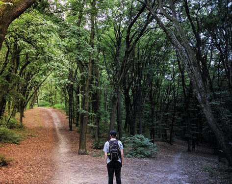 Je donne du sens à ma vie