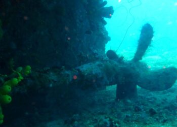 La Martinique et le secret de ses fonds marins