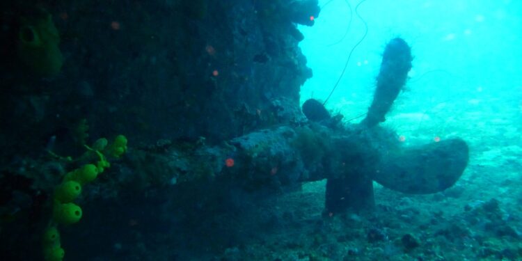 La Martinique et le secret de ses fonds marins