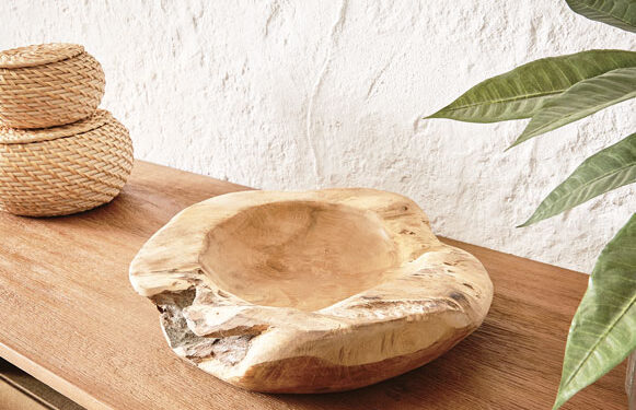 Gros plans sur le teck