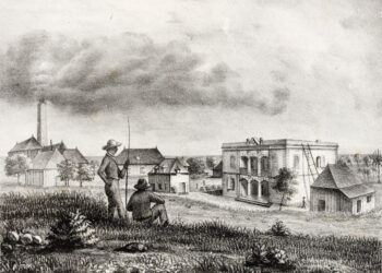 Sur les terres de Madame Desbassayns