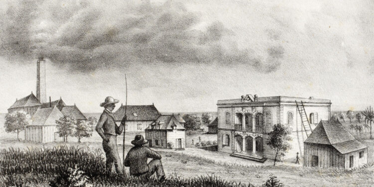 Sur les terres de Madame Desbassayns