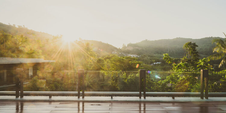 Aux petits soins pour ma terrasse en bois