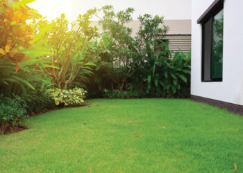 Comment bien entretenir son jardin ?