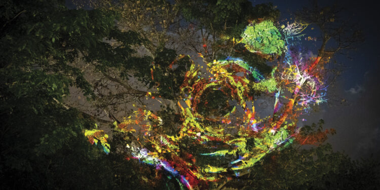 David Gumbs, l’Art numérique réinventé