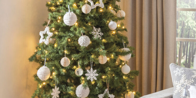 Le plus beau sapin ? 5 étapes pour décorer