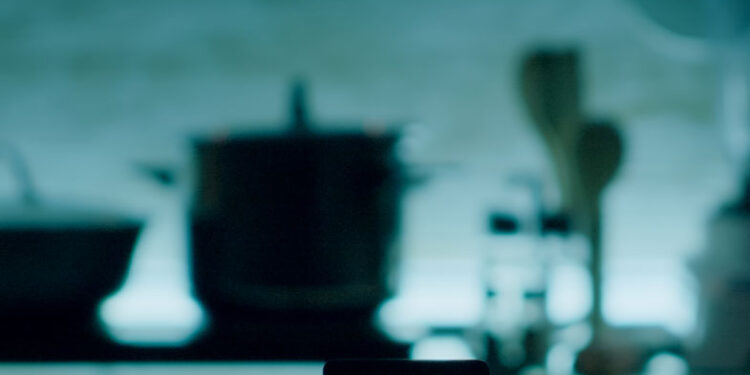 Domotique : On ose en 2024 ?