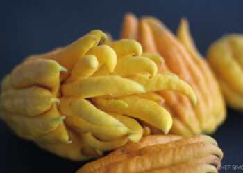 Citron main de Bouddha