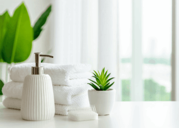 Plantes-Salle-de-bains