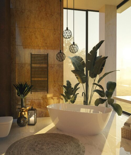 plantes-pour-salle-de-bains