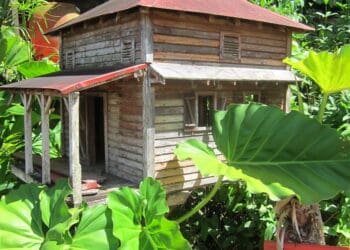 Case créole en bois aux volets colorés, architecture traditionnelle des Antilles