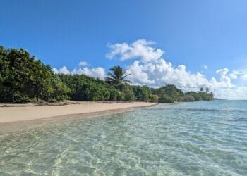 Plage tropicale de la Côte-sous-le-Vent en Guadeloupe